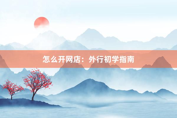 怎么开网店：外行初学指南