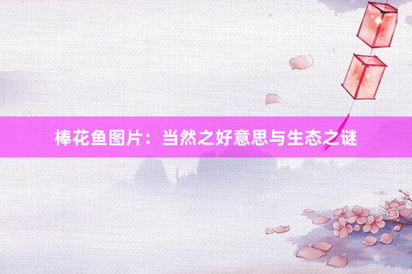 棒花鱼图片：当然之好意思与生态之谜
